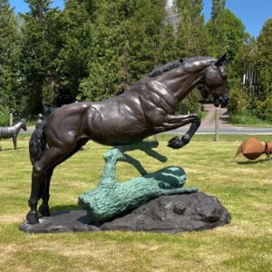 Cheval à obstacle