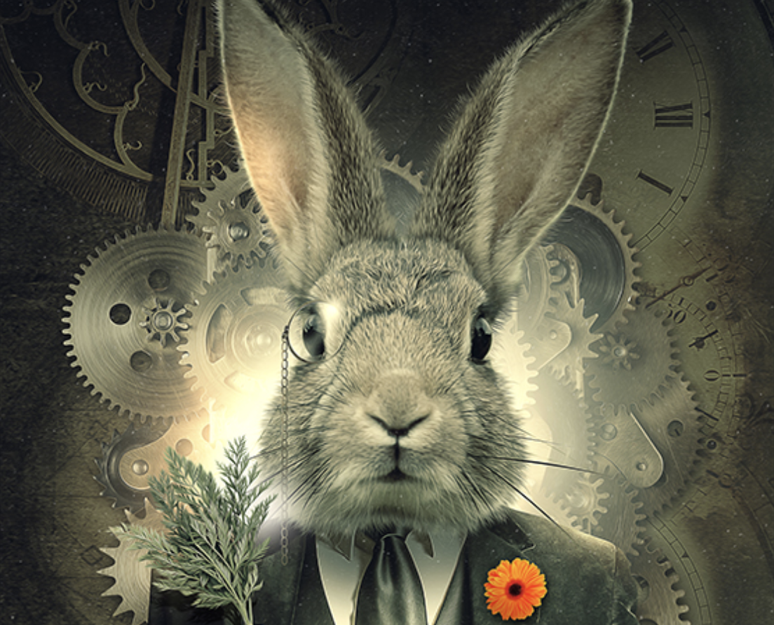 Mr Rabbit