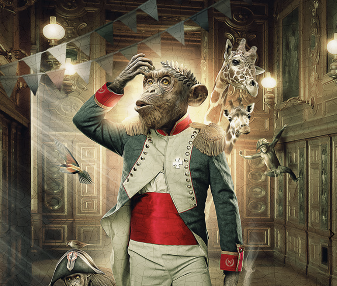 Singe Empereur