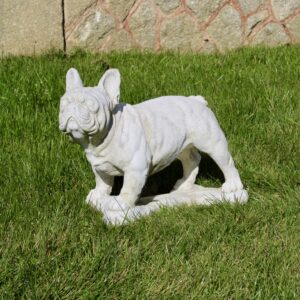 Statue chien bouledogue français