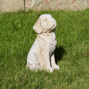 Statue chien saint bernard