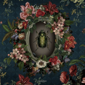 Scarabée