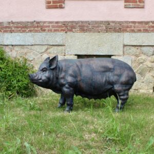 cochon en fonte d'aluminium