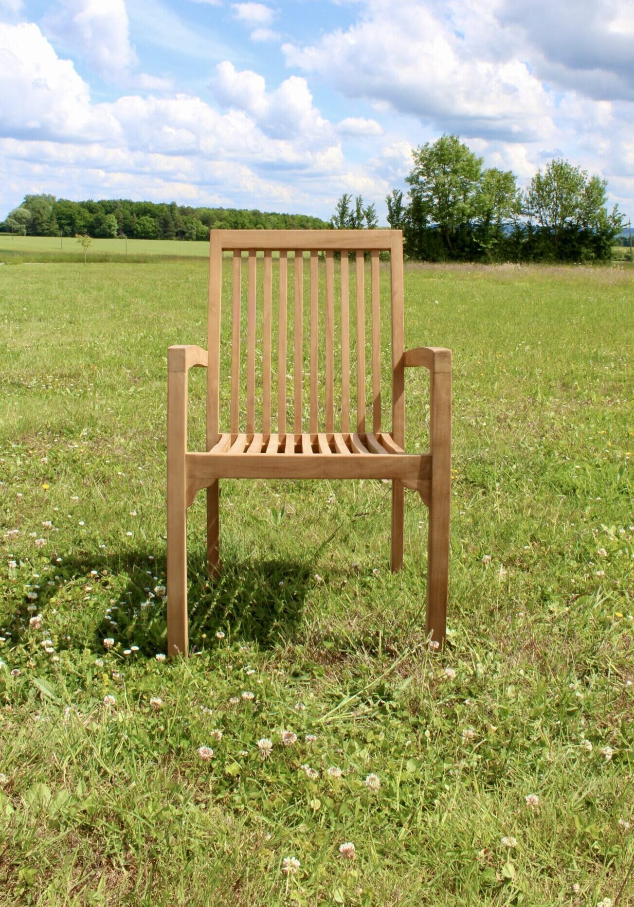 martin fauteuil de jardin en teck
